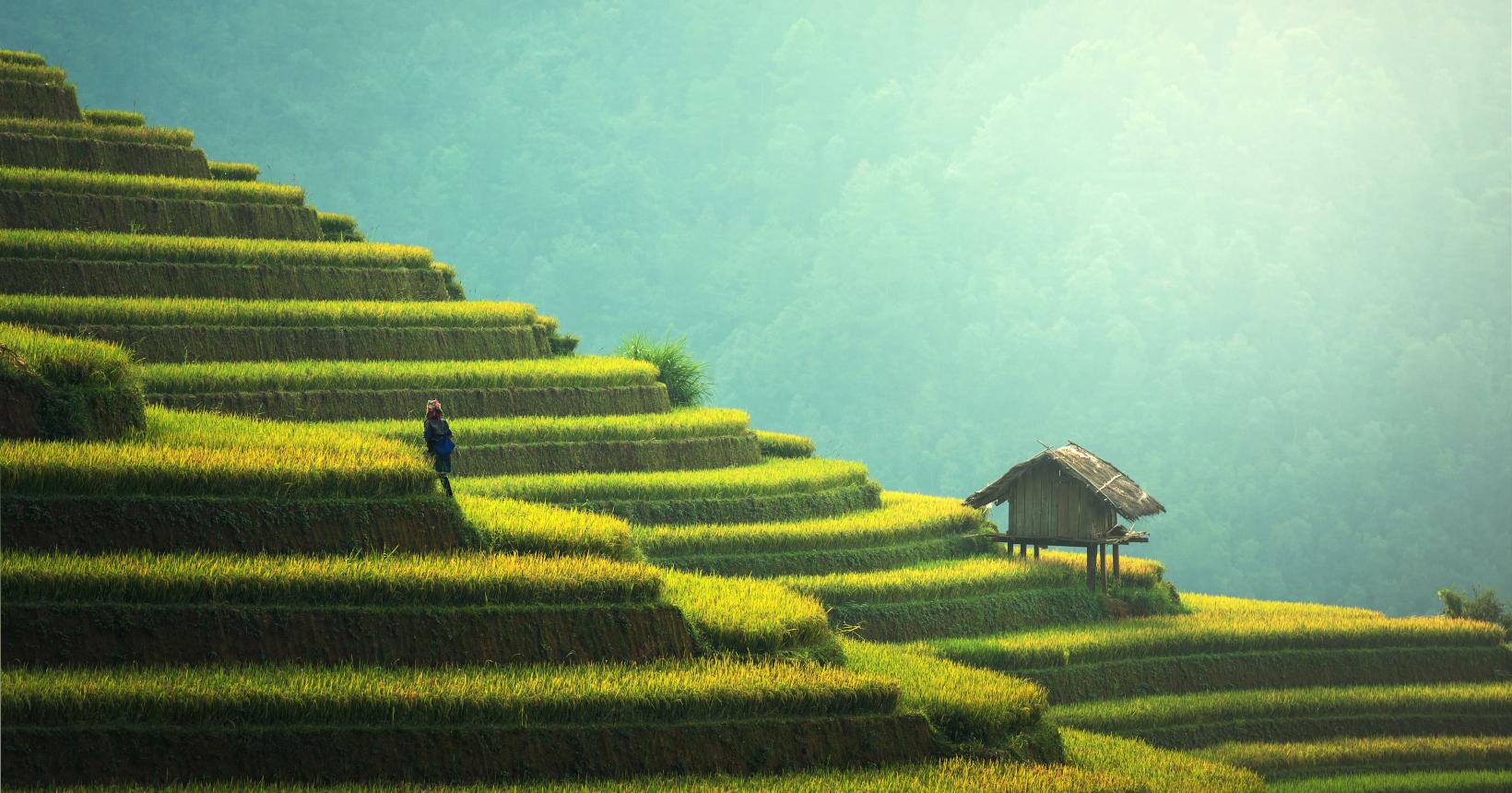 Vietnã, um dos melhores países para se visitar de 2020