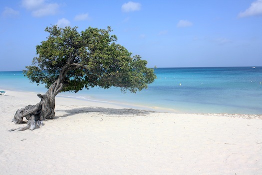 Uma das praias de Aruba