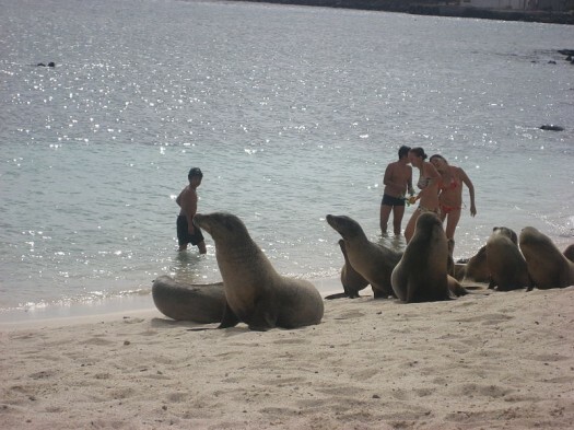 Galapagos2007--01--07-13-07