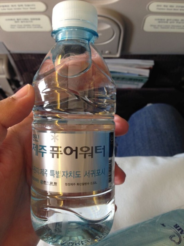 como-e-voar-korean-air-agua