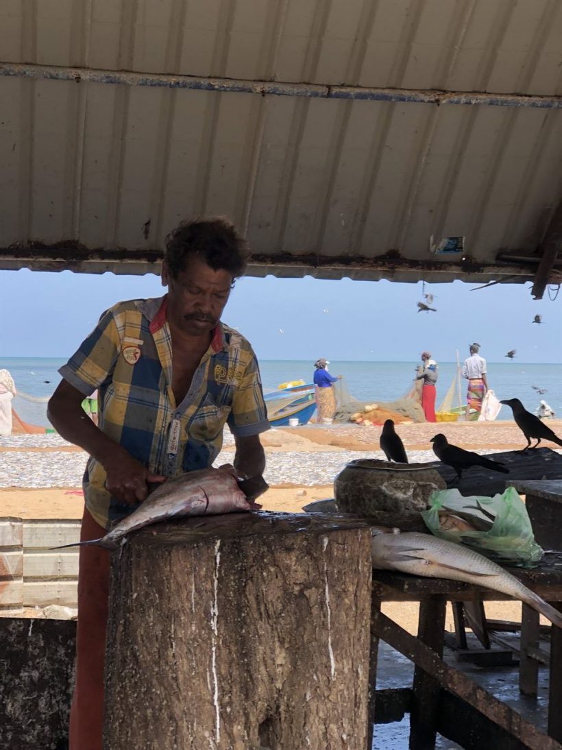 Mercado de Peixes Negombo