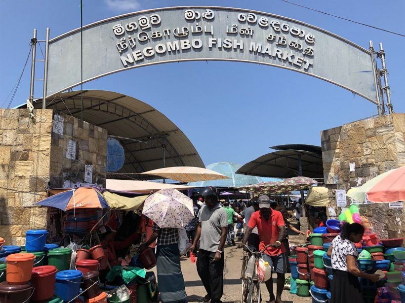 Mercado de Peixes Negombo
