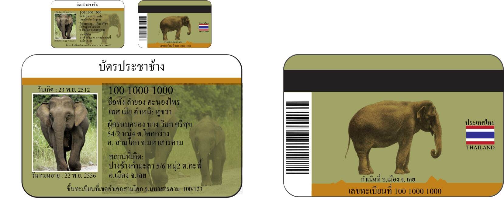 carteira identidade elefantes