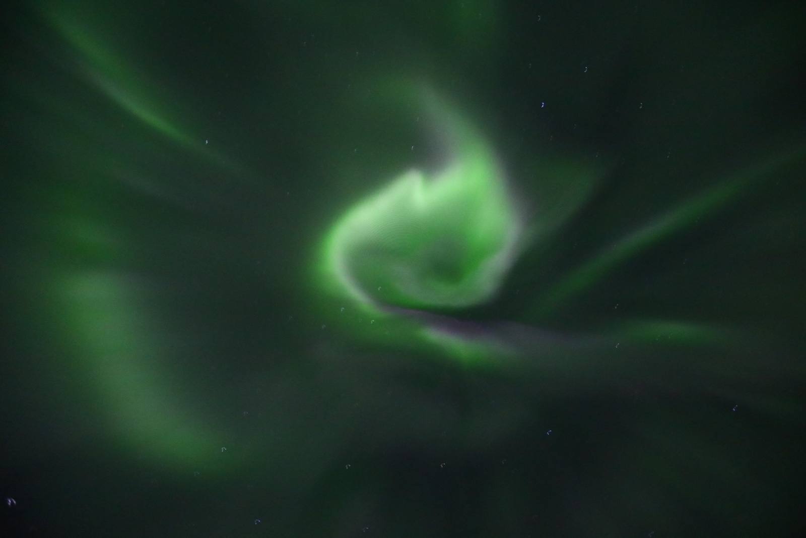 Aurora Boreal na Islândia / Foto: Monique Renne