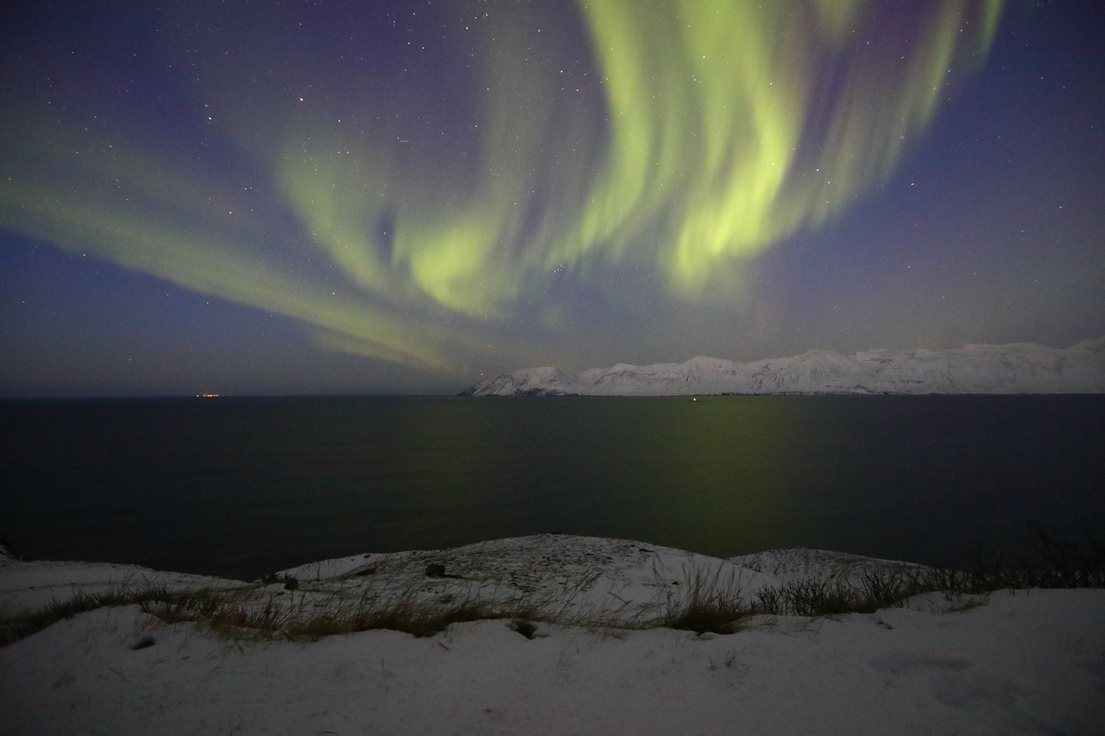 Aurora Boreal na Islândia / Foto: Monique Renne