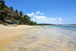 praias desertas no brasil