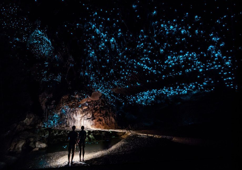 caverna bioluminescencia