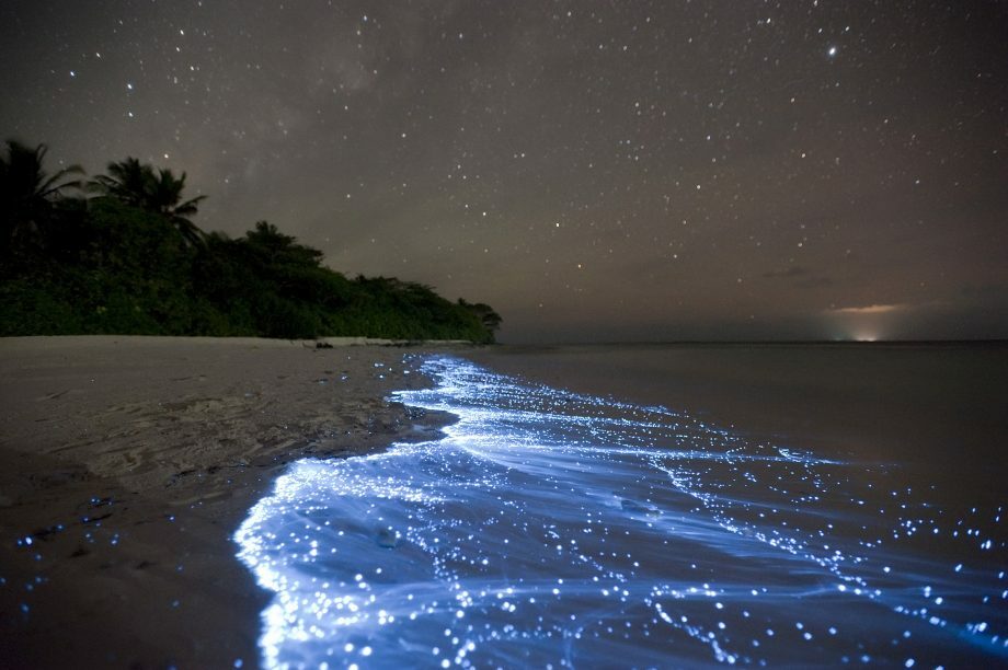 Fenômeno da bioluminescência nas Maldivas