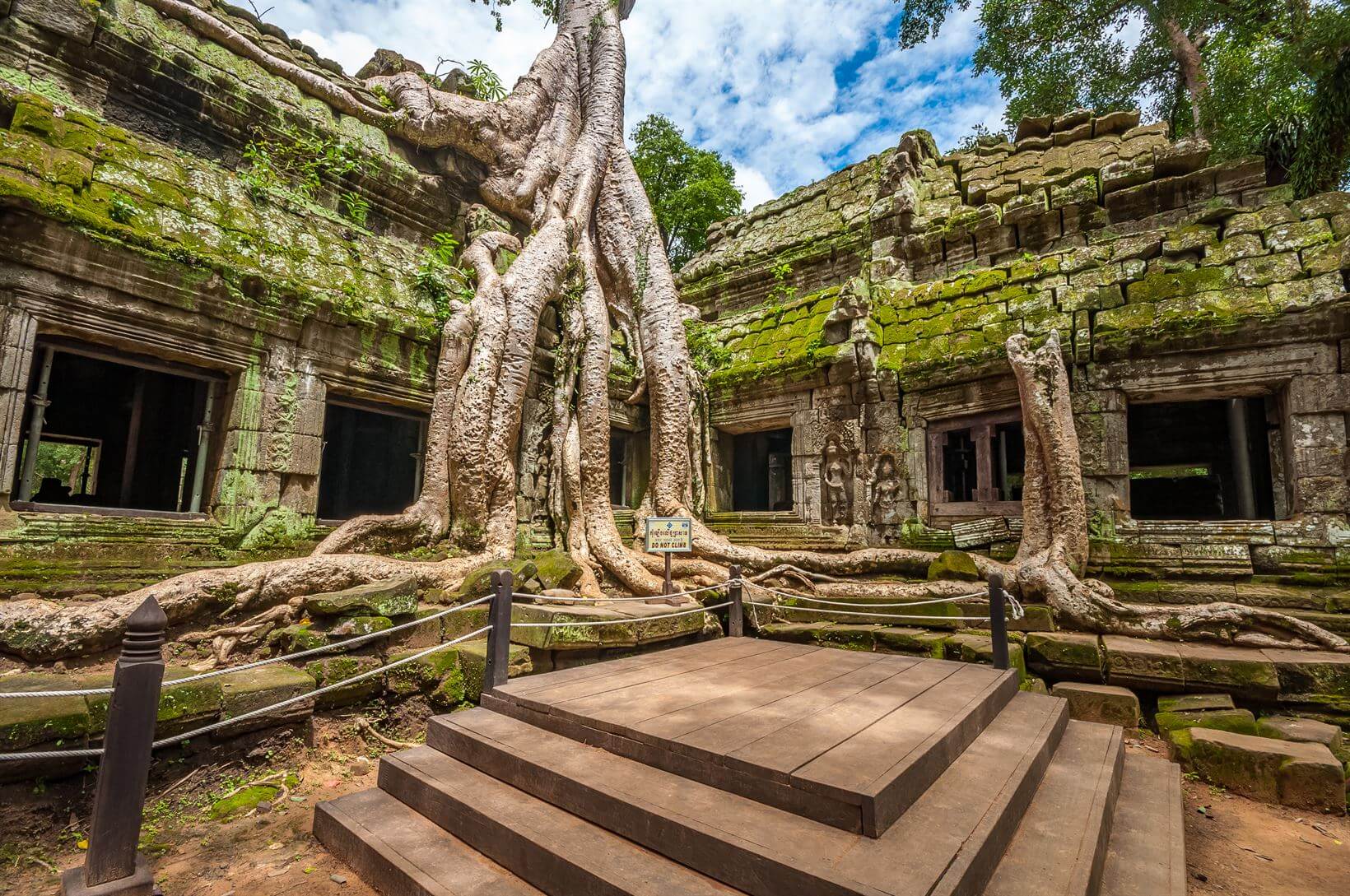 Árvores no Angkor Wat