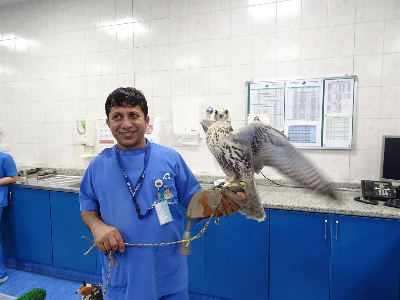 Falcon Hospital Abu Dhabi