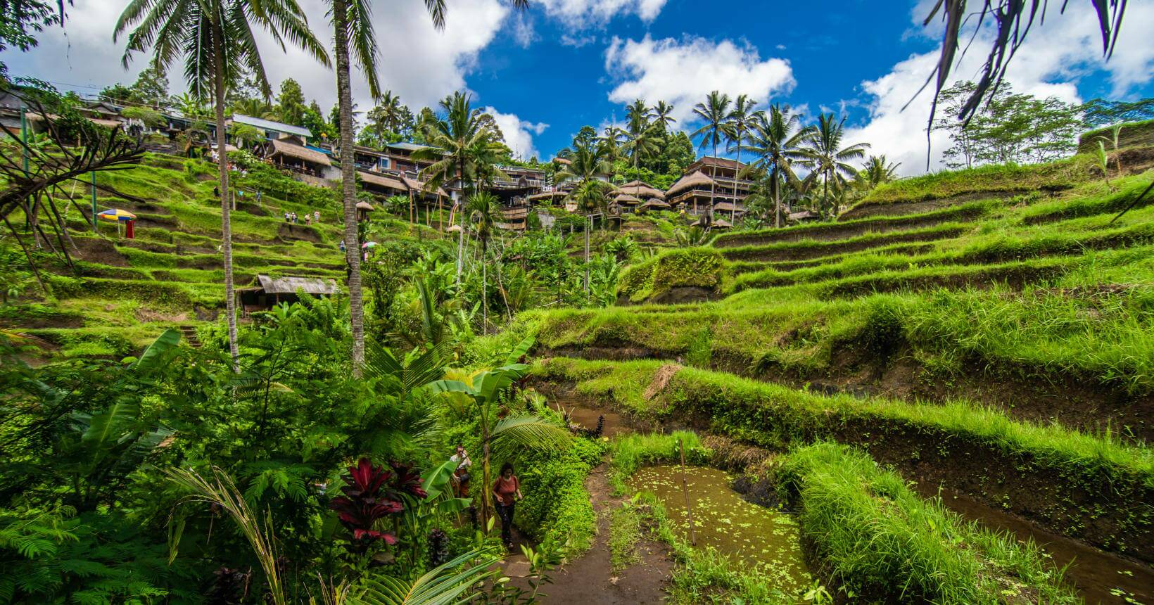 Ubud, Indonésia - eleita uma das melhores cidades para visitar