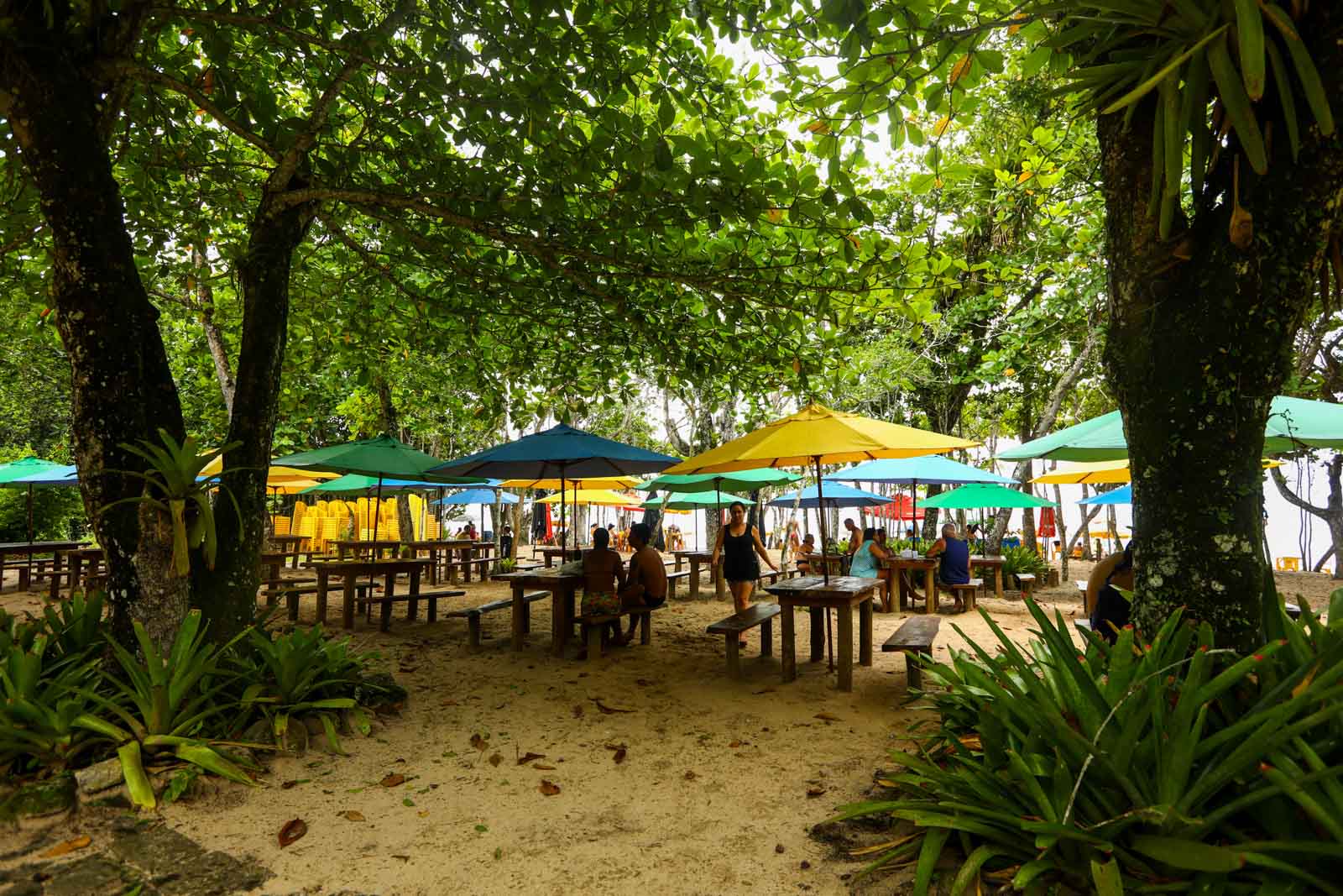 Melhores praias para criança em São Paulo