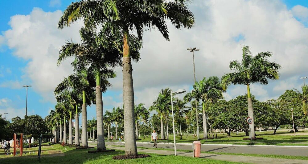 Parque da Sementeira em Aracaju