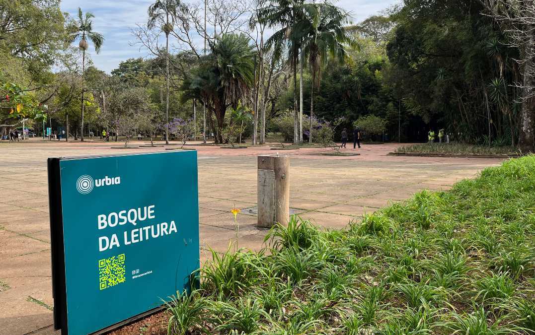 Bosque da Leitura, no Ibirapuera