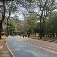 Pista de caminhada no Ibirapuera