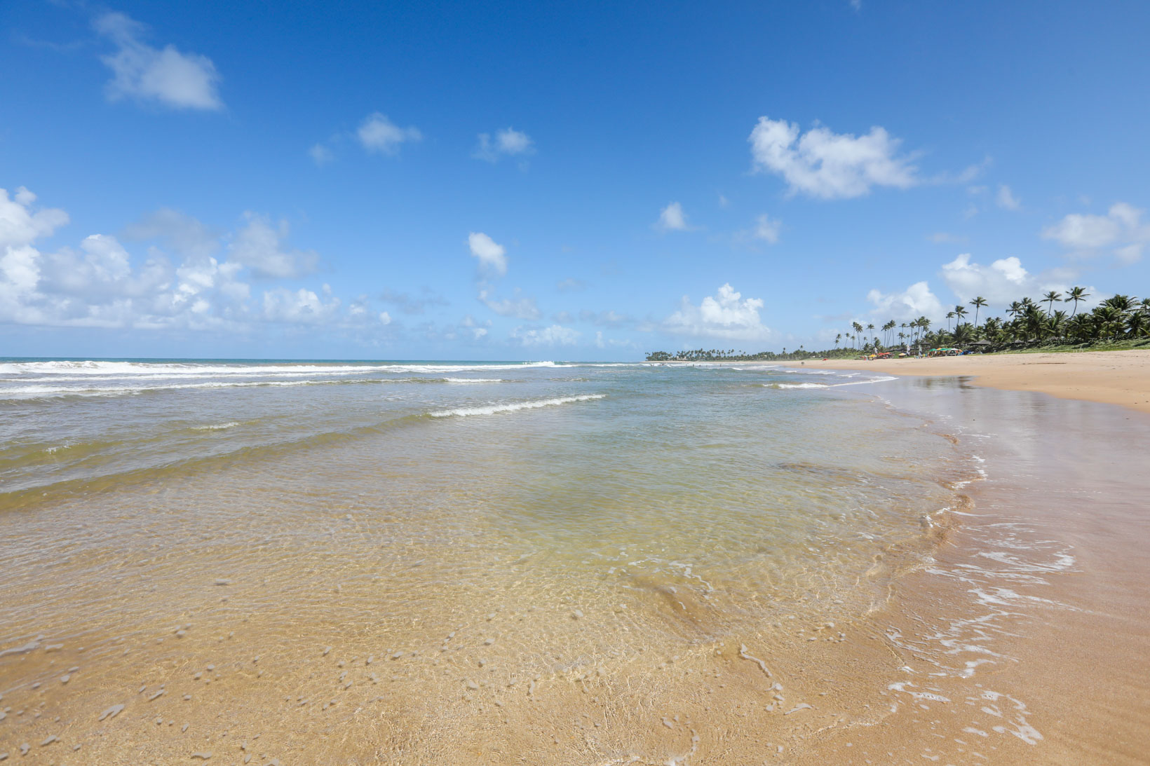 Praia de Itacimirim Litoral Norte Bahia