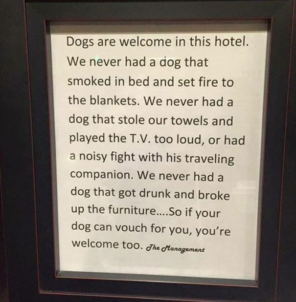 hotel-pet-friendly