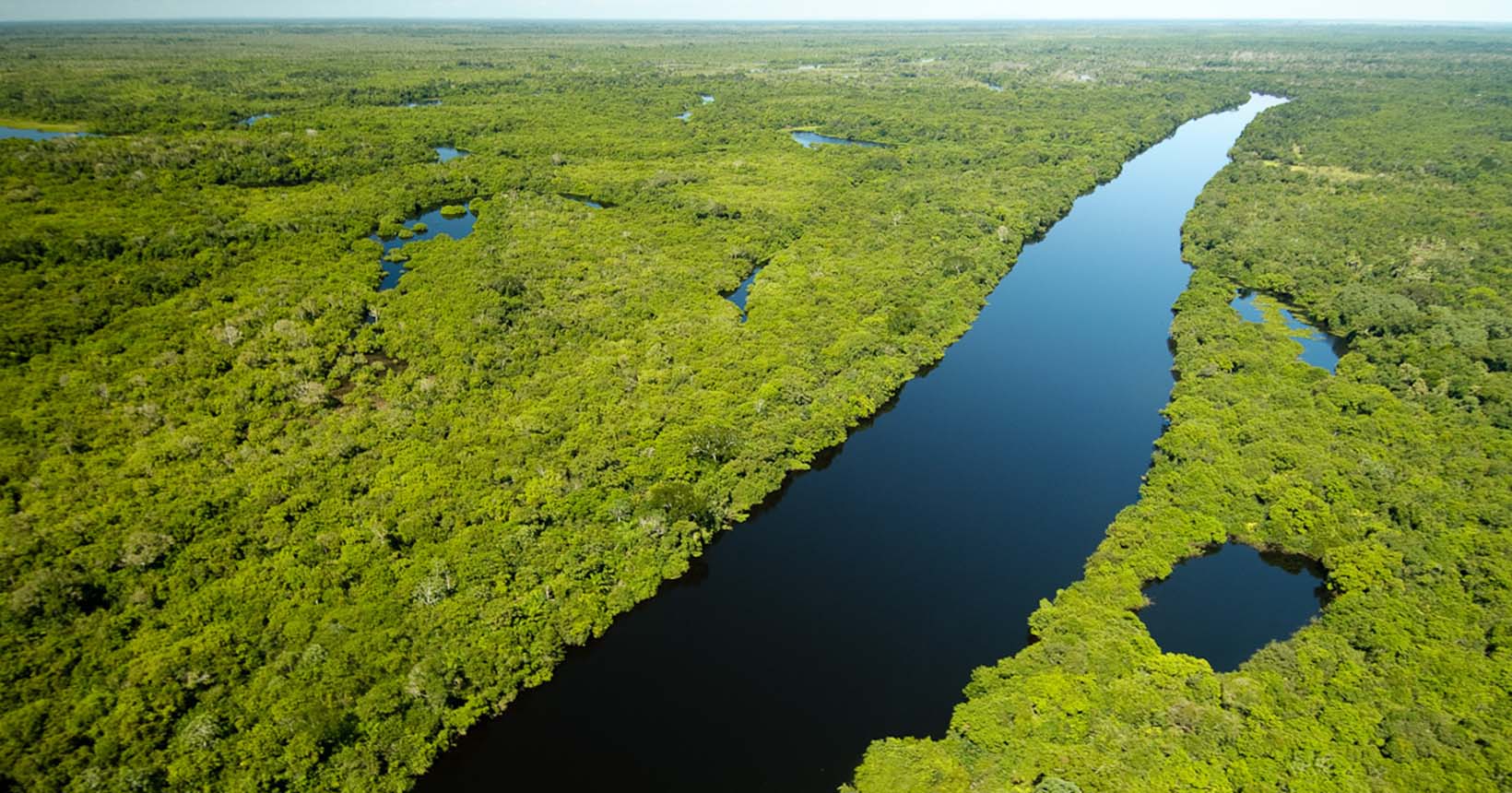 Pantanal no Brasil